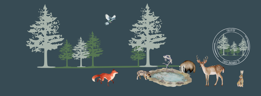 Logo Cause Animale 24